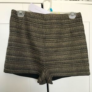 High-Waisted BCBG Gold & Black Shorts